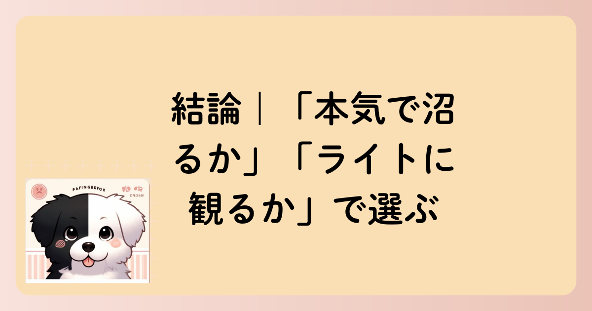 結論｜「本気で沼るか」「ライトに観るか」で選ぶの文字イラスト