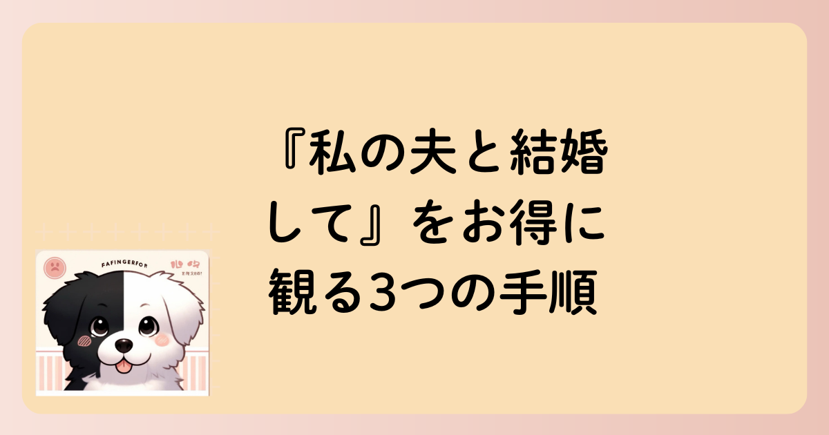 『私の夫と結婚して』をお得に観る3つの手順の文字イラスト