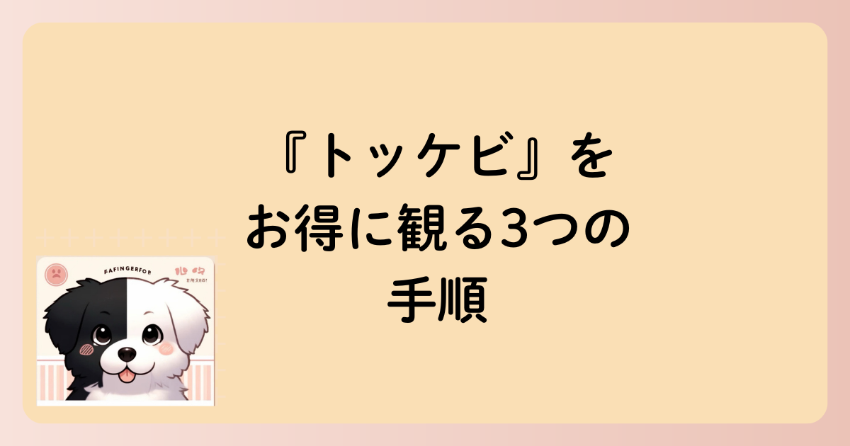 『トッケビ』をお得に観る3つの手順の文字イラスト